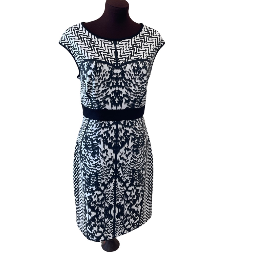 Laundry By Shelli Segal Black & White Knee Length